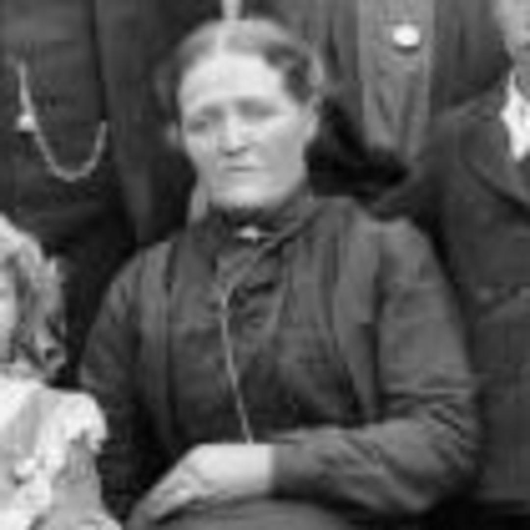 Johanna Johnson (1851 - 1915) Profile